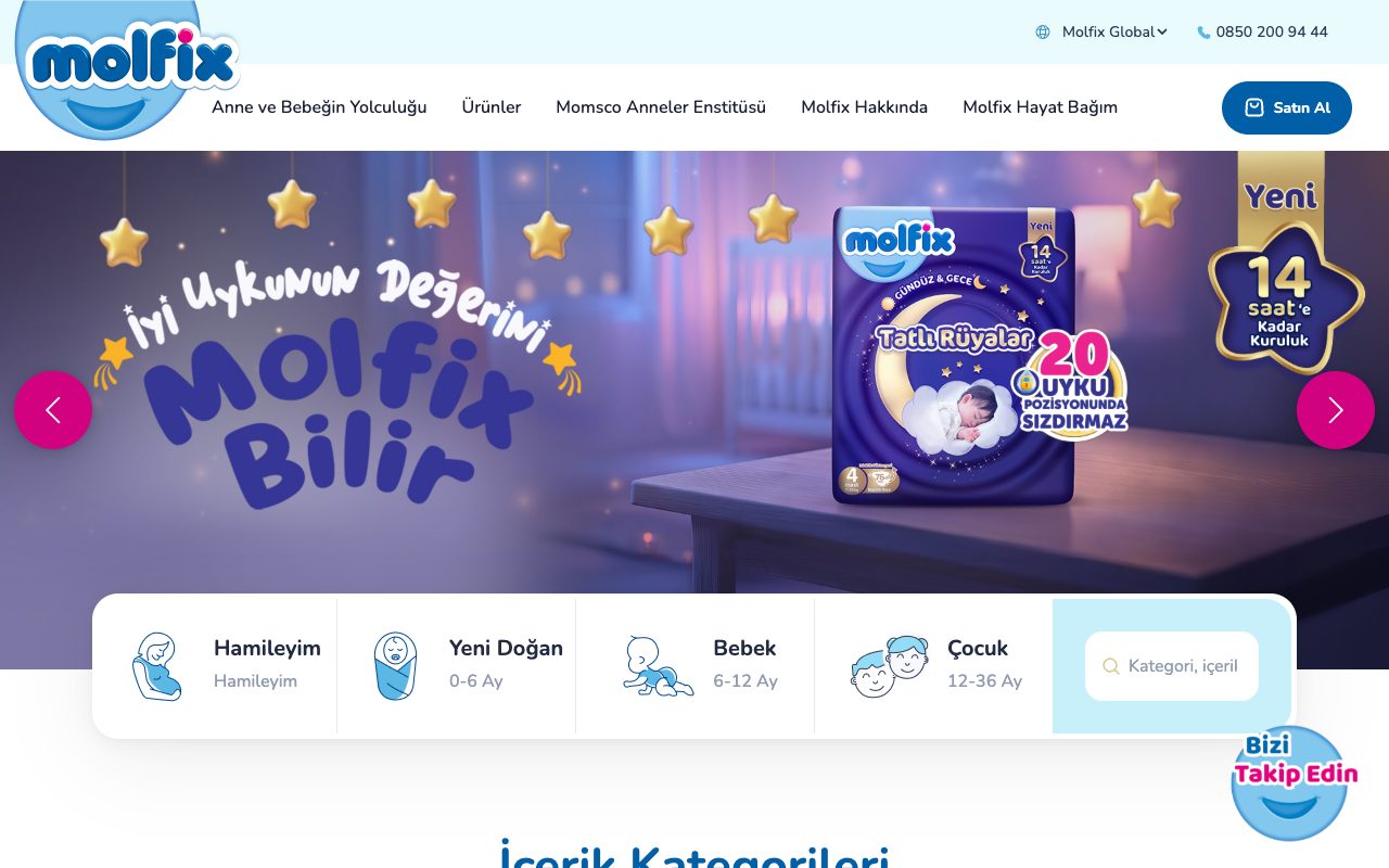 Current homepage of the public Molfix website